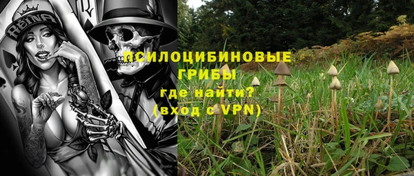 героин Алексин