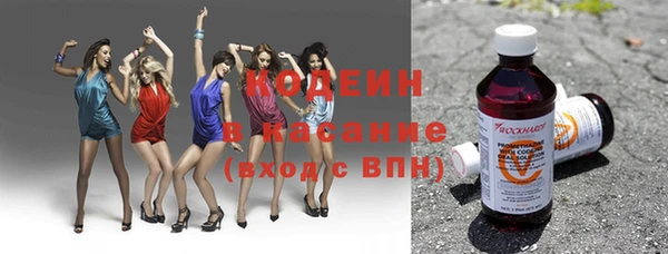 прущие грибы Алзамай