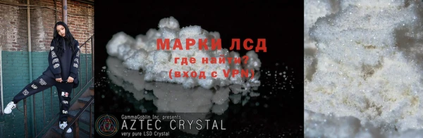 прущие грибы Алзамай