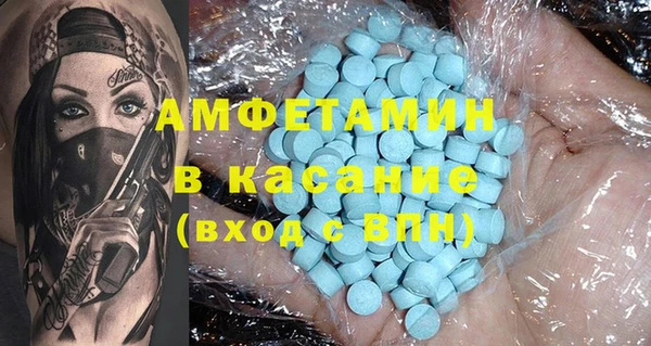 прущие грибы Алзамай