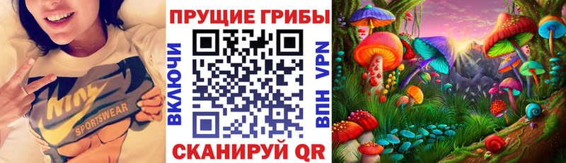Псилоцибиновые грибы ЛСД  Алзамай 